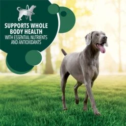 Iams Advanced Health Skin & Coat Chicken & Salmon Recipe Adult Dry Dog Food -Blue Buffalos Shop 616934 PT8. AC SS1800 V1659822866