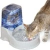 K&H Pet Products CleanFlow Filtered Water Dog Bowl, Small, 80-oz Bowl + 90-oz Reservoir -Blue Buffalos Shop 61705 MAIN. AC SS1800 V1637628248