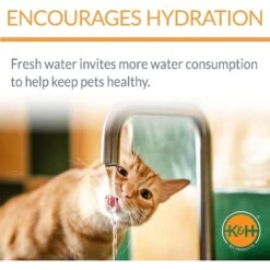 K&H Pet Products CleanFlow Filtered Water Dog Bowl, Small, 80-oz Bowl + 90-oz Reservoir 13 K&H Pet Products CleanFlow Filtered Water Dog Bowl, Small, 80-oz Bowl + 90-oz Reservoir -Blue Buffalos Shop 61705 PT3. AC SS1800 V1637627797