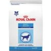 Royal Canin Veterinary Diet Adult Large Dog Dry Dog Food 1 Royal Canin Veterinary Diet Adult Large Dog Dry Dog Food -Blue Buffalos Shop 61785. AC SS1800 V1460478784