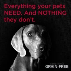 Diamond Naturals Grain-Free Whitefish & Sweet Potato Formula Dry Dog Food 11 Diamond Naturals Grain-Free Whitefish & Sweet Potato Formula Dry Dog Food -Blue Buffalos Shop 62162 PT4. AC SS1800 V1612401719