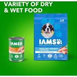 Iams Proactive Health Healthy Weight Management Large Breed Low Fat Formula With Real Chicken Adult Dry Dog Food 19 Iams Proactive Health Healthy Weight Management Large Breed Low Fat Formula With Real Chicken Adult Dry Dog Food -Blue Buffalos Shop 62261 PT8. AC SS1800 V1667863606