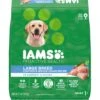 Iams Proactive Health Large Breed With Real Chicken Adult Dry Dog Food -Blue Buffalos Shop 62299 MAIN. AC SS1800 V1667865348