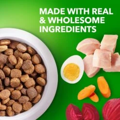 Iams Proactive Health Large Breed With Real Chicken Adult Dry Dog Food -Blue Buffalos Shop 62299 PT3. AC SS1800 V1668024051