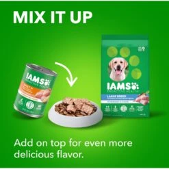 Iams Proactive Health Large Breed With Real Chicken Adult Dry Dog Food -Blue Buffalos Shop 62299 PT8. AC SS1800 V1667864274