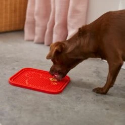 Disney Mickey Silicone Dog & Cat Lick Mat & Disney Mickey Silicone Dog & Cat Lick Mat -Blue Buffalos Shop 623358 PT3. AC SS1800 V1661895905