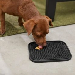 Disney Mickey Silicone Dog & Cat Lick Mat & Disney Mickey Silicone Dog & Cat Lick Mat -Blue Buffalos Shop 623358 PT7. AC SS1800 V1661896456