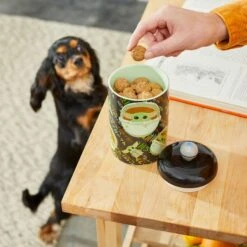 STAR WARS THE MANDALORIAN THE CHILD Aurebesh Ceramic Treat Jar & STAR WARS THE MANDALORIAN GROGU AUREBESH Non-Skid Stainless Steel With Melamine Stand Dog & Cat Bowl 14 STAR WARS THE MANDALORIAN THE CHILD Aurebesh Ceramic Treat Jar & STAR WARS THE MANDALORIAN GROGU AUREBESH Non-Skid Stainless Steel With Melamine Stand Dog & Cat Bowl -Blue Buffalos Shop 623382 PT3. AC SS1800 V1661896215