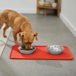 Disney Mickey Silicone Dog & Cat Food Mat & Disney Mickey Mouse Red Deco Stainless Steel & Melamine Dog & Cat Bowl -Blue Buffalos Shop 623470 PT3. AC SS1800 V1662040129
