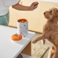 Disney Table Scraps Winnie The Pooh Organic Honey Roasted Turkey Recipe Dog Treats, 5-oz Bag & Disney Winnie The Pooh Orange Ceramic Dog & Cat Treat Jar -Blue Buffalos Shop 623486 PT8. AC SS1800 V1662040078