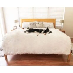 PawBrands PupProtector Waterproof Throw Dog Blanket -Blue Buffalos Shop 625054 PT5. AC SS1800 V1661268740