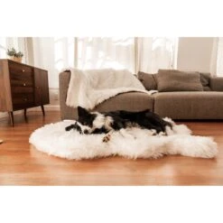 PawBrands PupRug Faux Fur Orthopedic Dog Bed -Blue Buffalos Shop 625222 PT4. AC SS1800 V1661275441