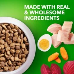 Iams Proactive Health Healthy Aging Mature & Senior Formula With Real Chicken Dry Dog Food 14 Iams Proactive Health Healthy Aging Mature & Senior Formula With Real Chicken Dry Dog Food -Blue Buffalos Shop 62805 PT3. AC SS1800 V1668024115
