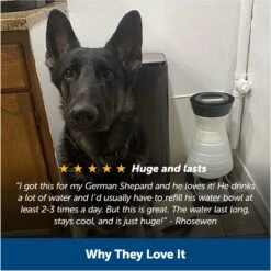 PetSafe Healthy Gravity Refill Dog & Cat Waterer -Blue Buffalos Shop 63119 PT5. AC SS1800 V1676398827