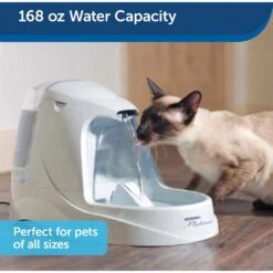 PetSafe Drinkwell Platinum Plastic Dog & Cat Fountain 11 PetSafe Drinkwell Platinum Plastic Dog & Cat Fountain -Blue Buffalos Shop 63134 PT1. AC SS1800 V1616423824