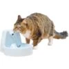 PetSafe Drinkwell Original Plastic Dog & Cat Fountain 2 PetSafe Drinkwell Original Plastic Dog & Cat Fountain -Blue Buffalos Shop 63136 MAIN. AC SS1800 V1590606691