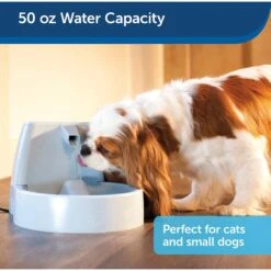 PetSafe Drinkwell Original Plastic Dog & Cat Fountain 12 PetSafe Drinkwell Original Plastic Dog & Cat Fountain -Blue Buffalos Shop 63136 PT3. AC SS1800 V1590605522