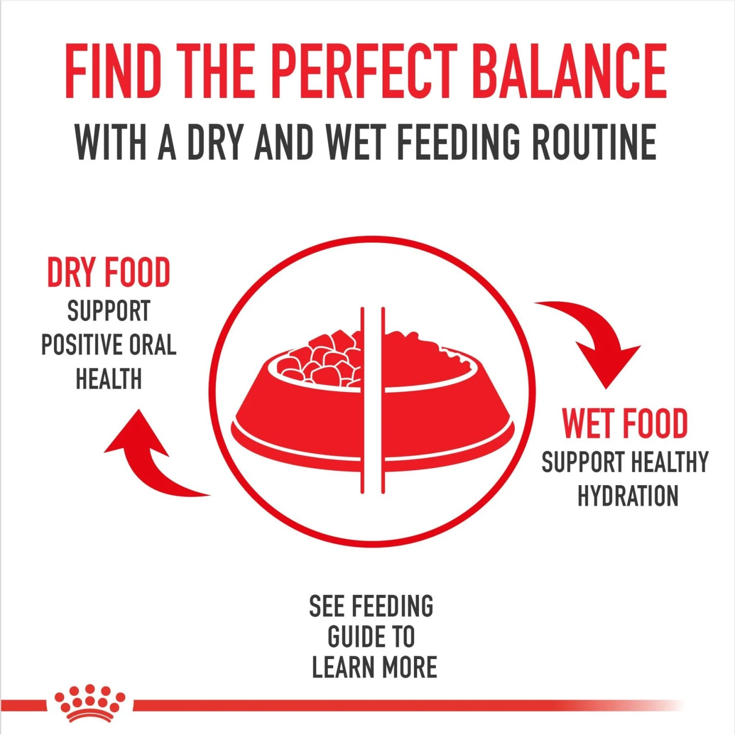 Royal Canin Canine Care Nutrition Medium Weight Care Adult Dry Dog Food 5 Royal Canin Canine Care Nutrition Medium Weight Care Adult Dry Dog Food - Image 3