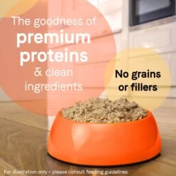 CANIDAE PURE All Stages Grain-Free Limited Ingredient Duck & Turkey Recipe Canned Dog Food, 13-oz & CANIDAE PURE All Stages Grain-Free Limited Ingredient Lamb, Turkey & Chicken Recipe Canned Dog Food, 13-oz -Blue Buffalos Shop 632534 PT3. AC SS1800 V1663605474