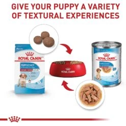 Royal Canin Size Health Nutrition Medium Puppy Dry Dog Food 16 Royal Canin Size Health Nutrition Medium Puppy Dry Dog Food -Blue Buffalos Shop 63266 PT5. AC SS1800 V1697213803