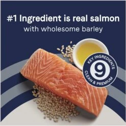 CANIDAE PURE With Wholesome Grains Real Beef & Barley Recipe Adult Dry Dog Food & CANIDAE PURE With Wholesome Grains Real Salmon & Barley Recipe Adult Dry Dog Food -Blue Buffalos Shop 632782 PT8. AC SS1800 V1663880419