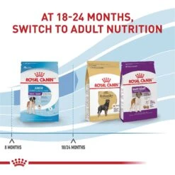 Royal Canin Size Health Nutrition Giant Junior Dry Dog Food -Blue Buffalos Shop 63278 PT7. AC SS1800 V1697213773