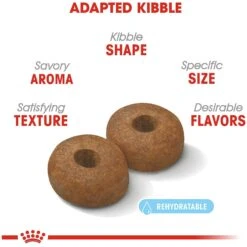 Royal Canin Size Health Nutrition Large Aging 8+ Dry Dog Food -Blue Buffalos Shop 63298 PT3. AC SS1800 V1697212396