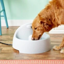 PetSafe Drinkwell Everflow Plastic Dog & Cat Fountain -Blue Buffalos Shop 63326 PT2. AC SS1800 V1539373024