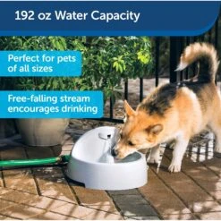 PetSafe Drinkwell Everflow Plastic Dog & Cat Fountain -Blue Buffalos Shop 63326 PT6. AC SS1800 V1598894156