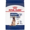 Royal Canin Size Health Nutrition Large Adult 5+ Dry Dog Food -Blue Buffalos Shop 63336 MAIN. AC SS1800 V1697653171