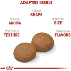 Royal Canin Size Health Nutrition Large Adult 5+ Dry Dog Food -Blue Buffalos Shop 63336 PT3. AC SS1800 V1697655132