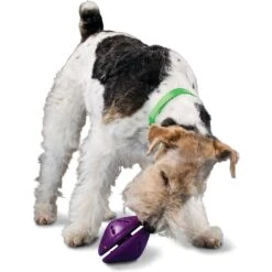PetSafe Busy Buddy Twist 'n Treat Treat Dispenser Dog Toy -Blue Buffalos Shop 63858 PT2. AC SS1800 V1602333064