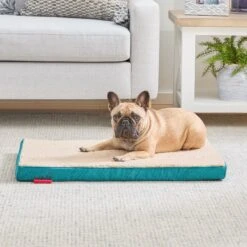 Brindle 2-in Orthopedic With Machine Washable Cover Dog & Cat Bed 10 Brindle 2-in Orthopedic With Machine Washable Cover Dog & Cat Bed -Blue Buffalos Shop 639206 PT2. AC SS1800 V1662758577