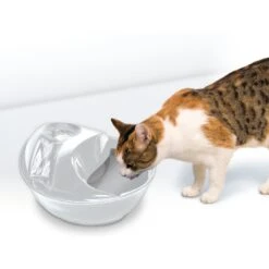 Pioneer Pet Raindrop Ceramic Dog & Cat Fountain -Blue Buffalos Shop 64086 PT3. AC SS1800 V1630550859