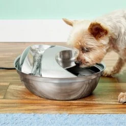Pioneer Pet Stainless Steel Dog & Cat Fountain Raindrop Design 11 Pioneer Pet Stainless Steel Dog & Cat Fountain Raindrop Design -Blue Buffalos Shop 64088 PT2. AC SS1800 V1630554739