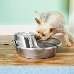 Pioneer Pet Big Max Style Stainless Steel Dog & Cat Fountain, 128-oz -Blue Buffalos Shop 64095 PT1. AC SS1800 V1532620914