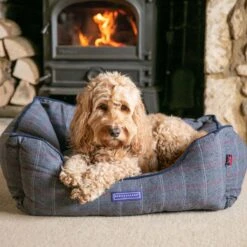 HUGO & HUDSON Luxury Tweed Dog Bed -Blue Buffalos Shop 643062 PT7. AC SS1800 V1663711853