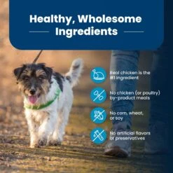 Blue Buffalo Life Protection Formula Small Bite Adult Chicken & Brown Rice Recipe Dry Dog Food 16 Blue Buffalo Life Protection Formula Small Bite Adult Chicken & Brown Rice Recipe Dry Dog Food -Blue Buffalos Shop 64682 PT5. AC SS1800 V1689355682