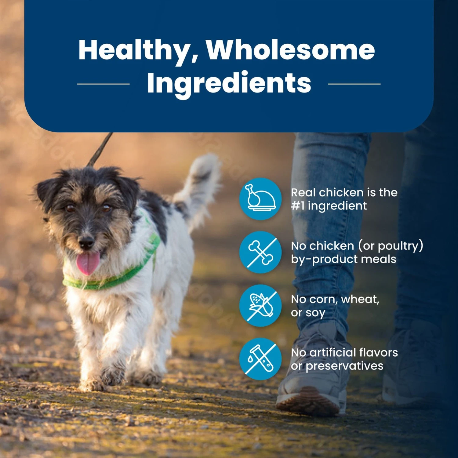 Blue Buffalo Life Protection Formula Small Bite Adult Chicken & Brown Rice Recipe Dry Dog Food 8 Blue Buffalo Life Protection Formula Small Bite Adult Chicken & Brown Rice Recipe Dry Dog Food - Image 6