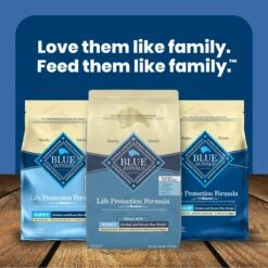Blue Buffalo Life Protection Formula Small Bite Adult Chicken & Brown Rice Recipe Dry Dog Food 19 Blue Buffalo Life Protection Formula Small Bite Adult Chicken & Brown Rice Recipe Dry Dog Food -Blue Buffalos Shop 64682 PT8. AC SS1800 V1636147627
