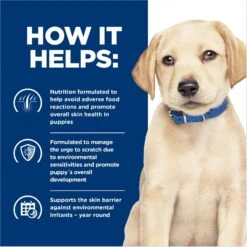 Hill's Prescription Diet Derm Complete Puppy Environmental/Food Sensitivities Rice & Egg Recipe Dry Dog Food, 14.3-lb Bag 16 Hill's Prescription Diet Derm Complete Puppy Environmental/Food Sensitivities Rice & Egg Recipe Dry Dog Food, 14.3-lb Bag -Blue Buffalos Shop 647350 PT5. AC SS1800 V1663712812