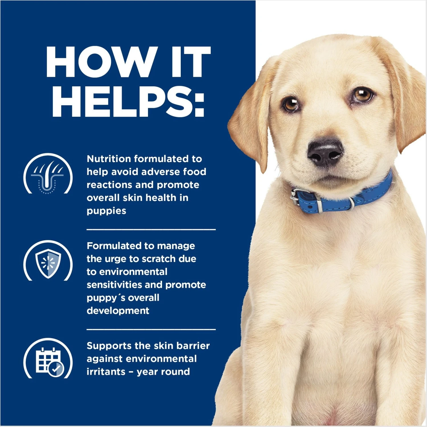 Hill's Prescription Diet Derm Complete Puppy Environmental/Food Sensitivities Rice & Egg Recipe Dry Dog Food, 14.3-lb Bag 8 Hill's Prescription Diet Derm Complete Puppy Environmental/Food Sensitivities Rice & Egg Recipe Dry Dog Food, 14.3-lb Bag - Image 6