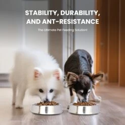Iconic Pet Anti Ant Stainless Steel Non Skid Dog & Cat Bowl, 2 Count -Blue Buffalos Shop 652046 PT2. AC SS1800 V1663881086