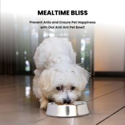 Iconic Pet Anti Ant Stainless Steel Non Skid Dog & Cat Bowl, 2 Count -Blue Buffalos Shop 652046 PT4. AC SS1800 V1663880779