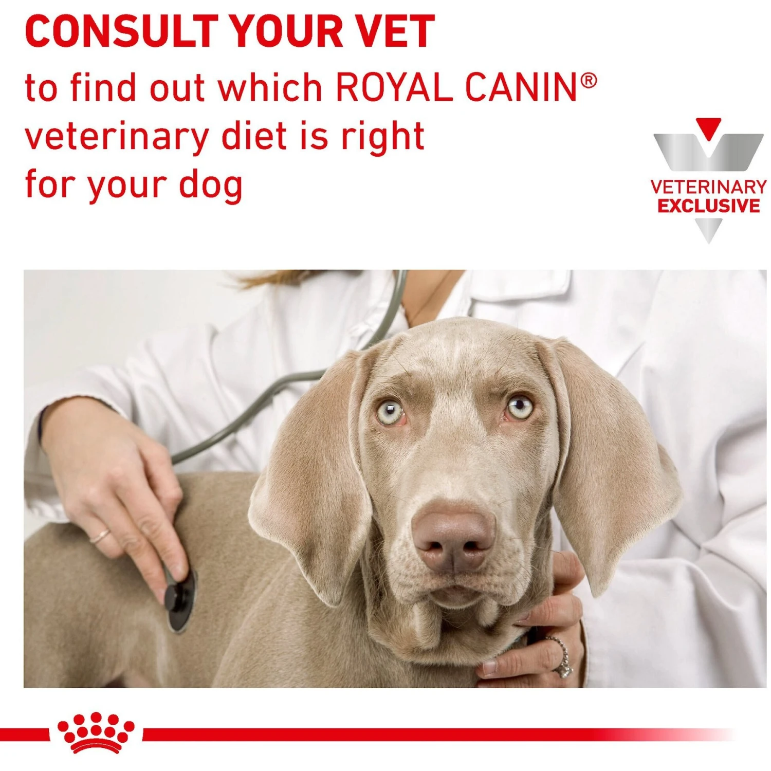 Royal Canin Veterinary Diet Adult Mature Consult Loaf In Sauce Canned Dog Food 8 Royal Canin Veterinary Diet Adult Mature Consult Loaf In Sauce Canned Dog Food - Image 6