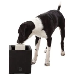 Dogit Design Alfresco Outdoor Drinking Plastic Fountain 11 Dogit Design Alfresco Outdoor Drinking Plastic Fountain -Blue Buffalos Shop 65640 PT3. AC SS1800 V1626361309