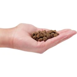 Earthborn Holistic Unrefined Smoked Bison With Ancient Grains & Superfoods Dog Dry Food 11 Earthborn Holistic Unrefined Smoked Bison With Ancient Grains & Superfoods Dog Dry Food -Blue Buffalos Shop 657630 PT2. AC SS1800 V1682711432