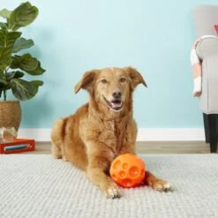 Omega Paw Tricky Treat Ball Dog Toy -Blue Buffalos Shop 66289 PT3. AC SS1800 V1530911427