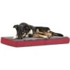 Coleman Carry Handle Folding Dog Bed