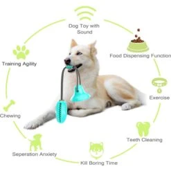 Pet Life 'Grip N' Play' Treat Dispensing Football Shaped Suction Cup Dog Toy 14 Pet Life 'Grip N' Play' Treat Dispensing Football Shaped Suction Cup Dog Toy -Blue Buffalos Shop 667454 PT3. AC SS1800 V1665606372